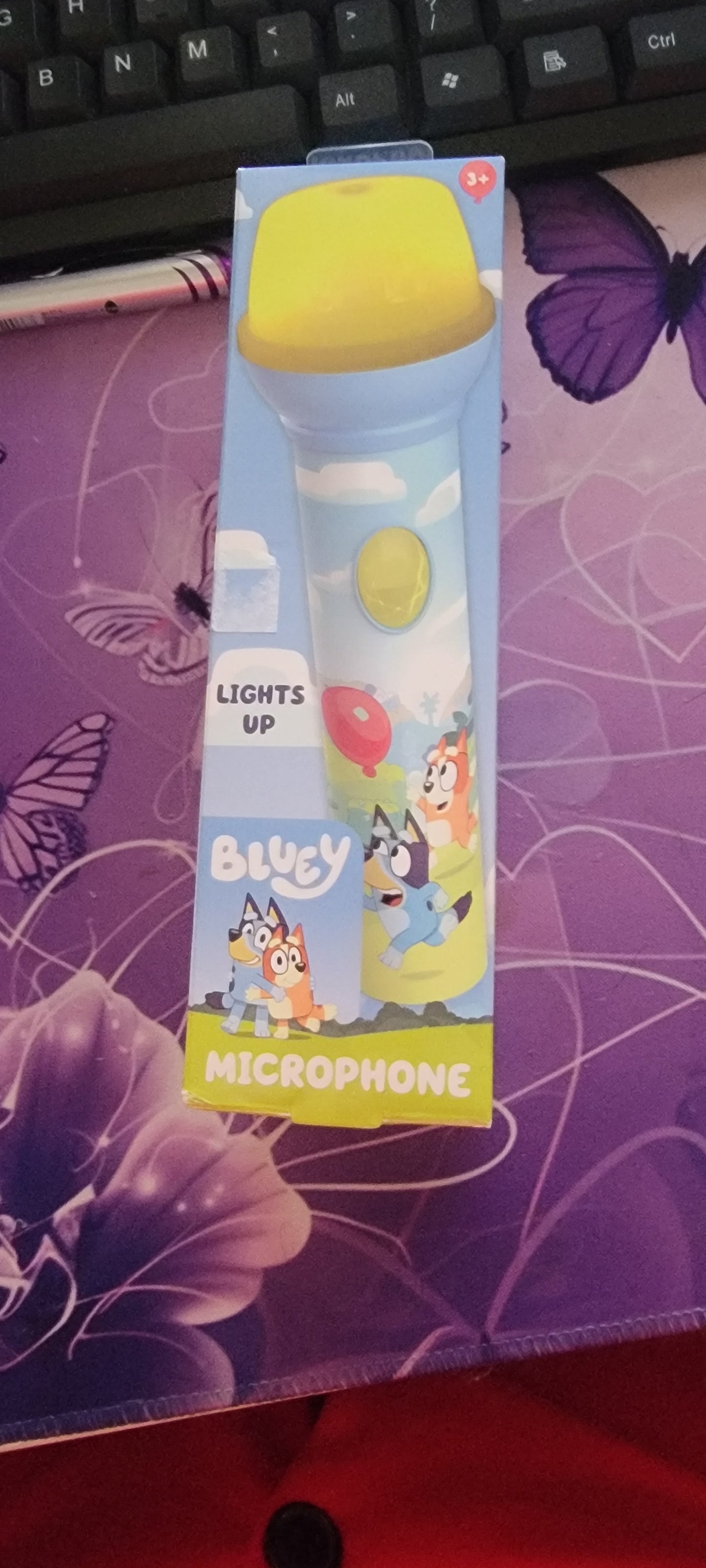 Bluey Kids Microphone
